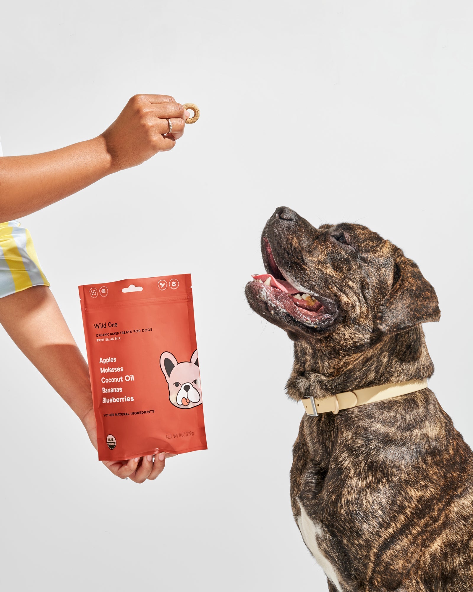 Best organic treats for dogs hot sale