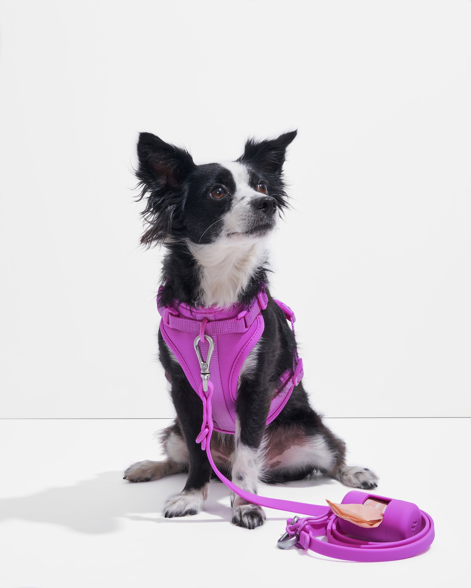 Orchid | Walk Kit includes Harness, Leash, and Poop Bag Carrier