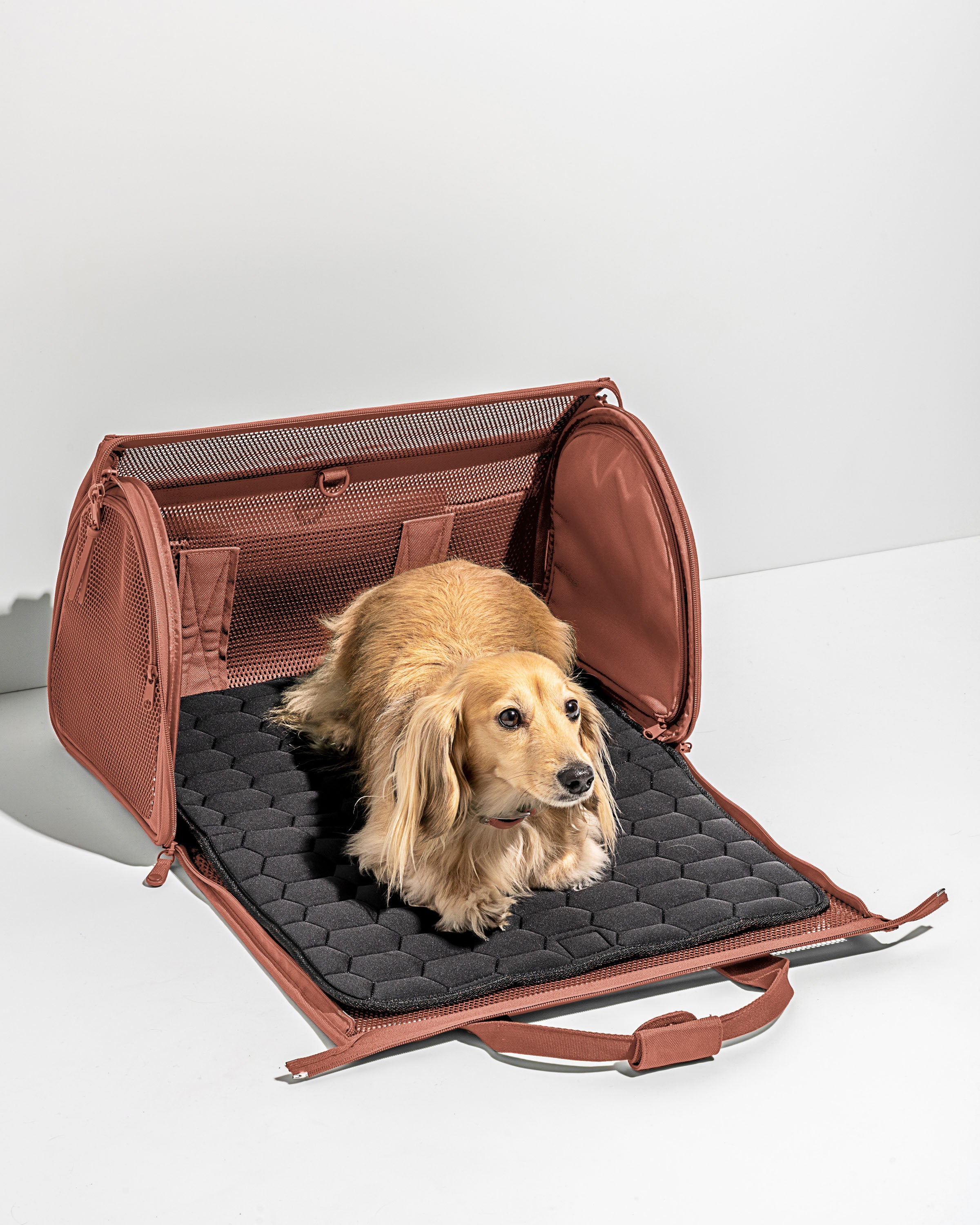Dog Carrier 50, Louis Vuitton - Designer Exchange