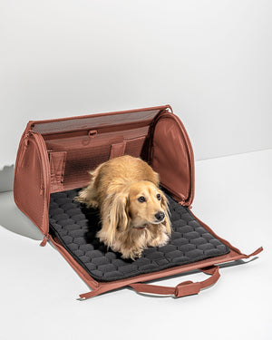Dog Carrier, Louis Vuitton - Designer Exchange