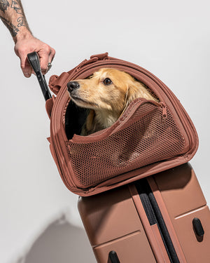 The Wild One Air Travel Dog Carrier Is Lightweight but Loaded With Extras