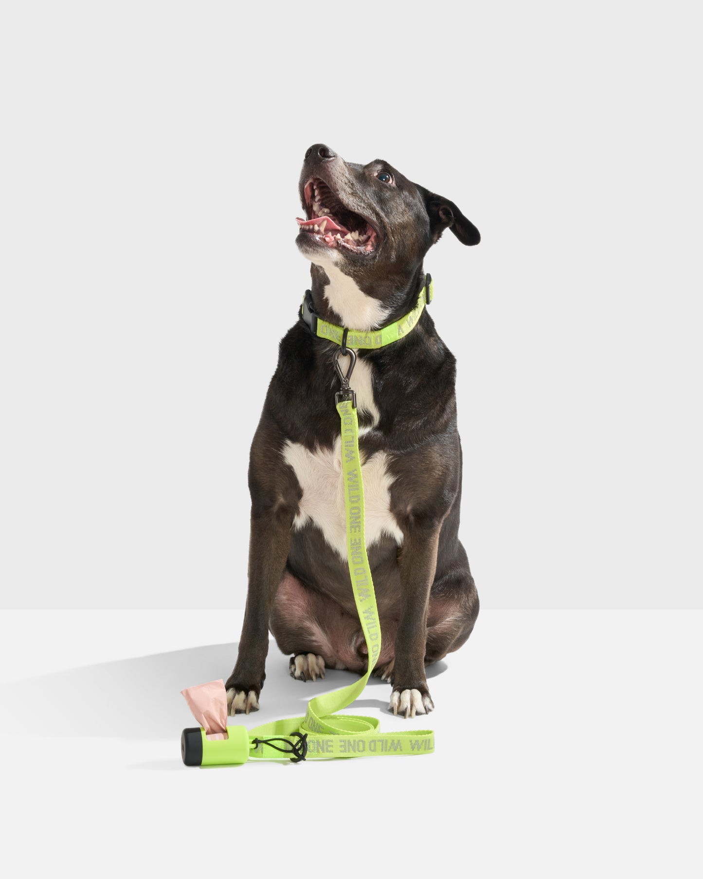 Limeade Reflective