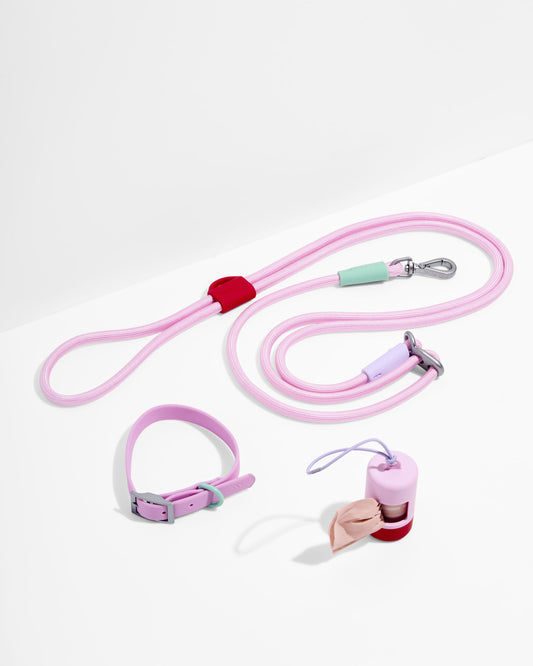 Waterproof Collar + Hands-Free Rope Leash Walk Kit