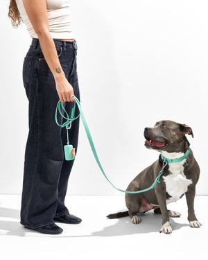 Water Resistant Dog Leash