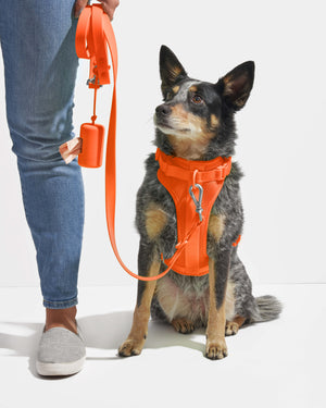 Stylish, Durable Dog Poop Bag Holder | Built-to-Last |, Camo / Orange | ROVERLUND
