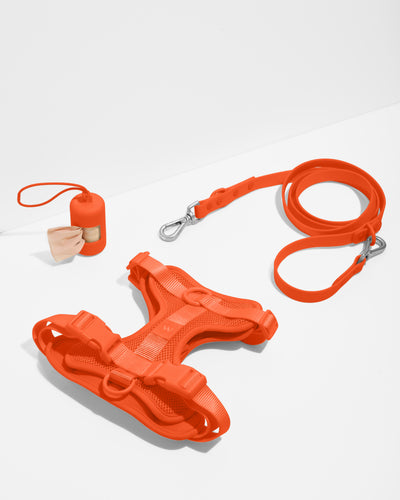 Dog Walking Essentials | Wild One