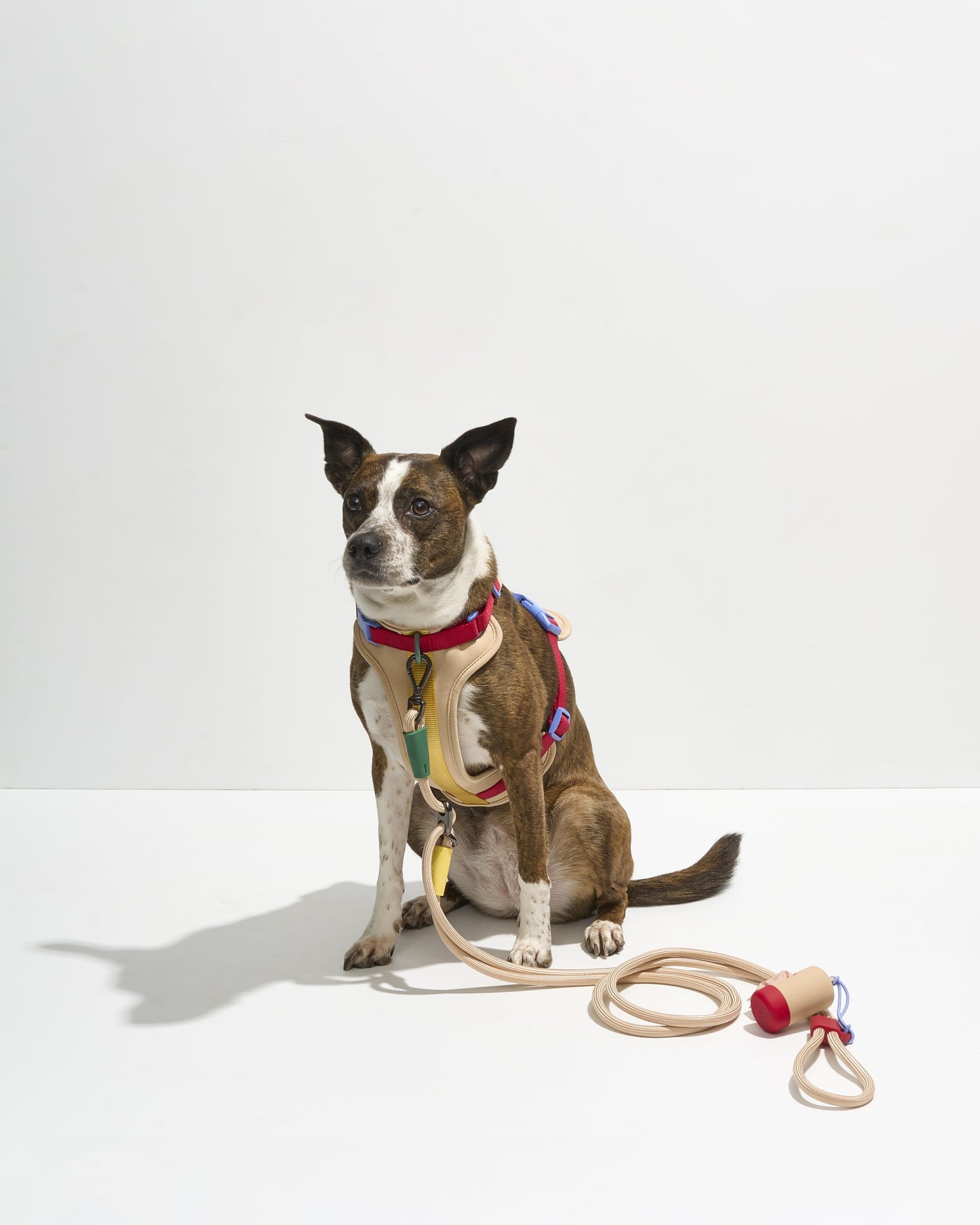 Harness Walk Kit