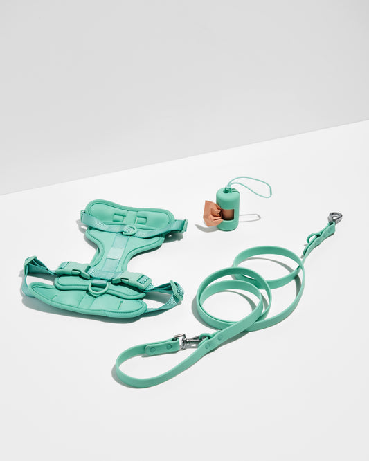 Seafoam 