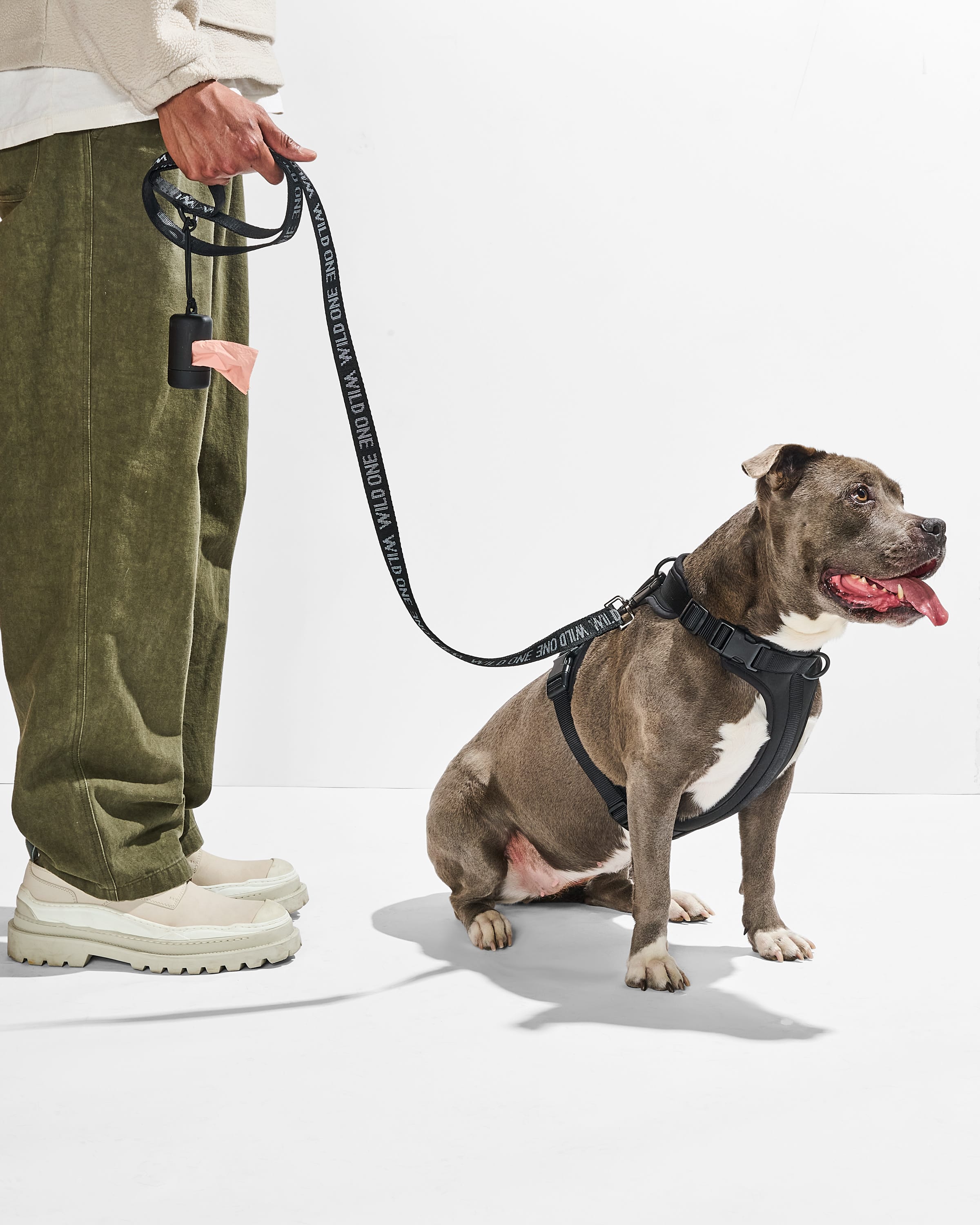 Cushioned Harness + Lightweight Leash Dog Walk Kit – Wild One