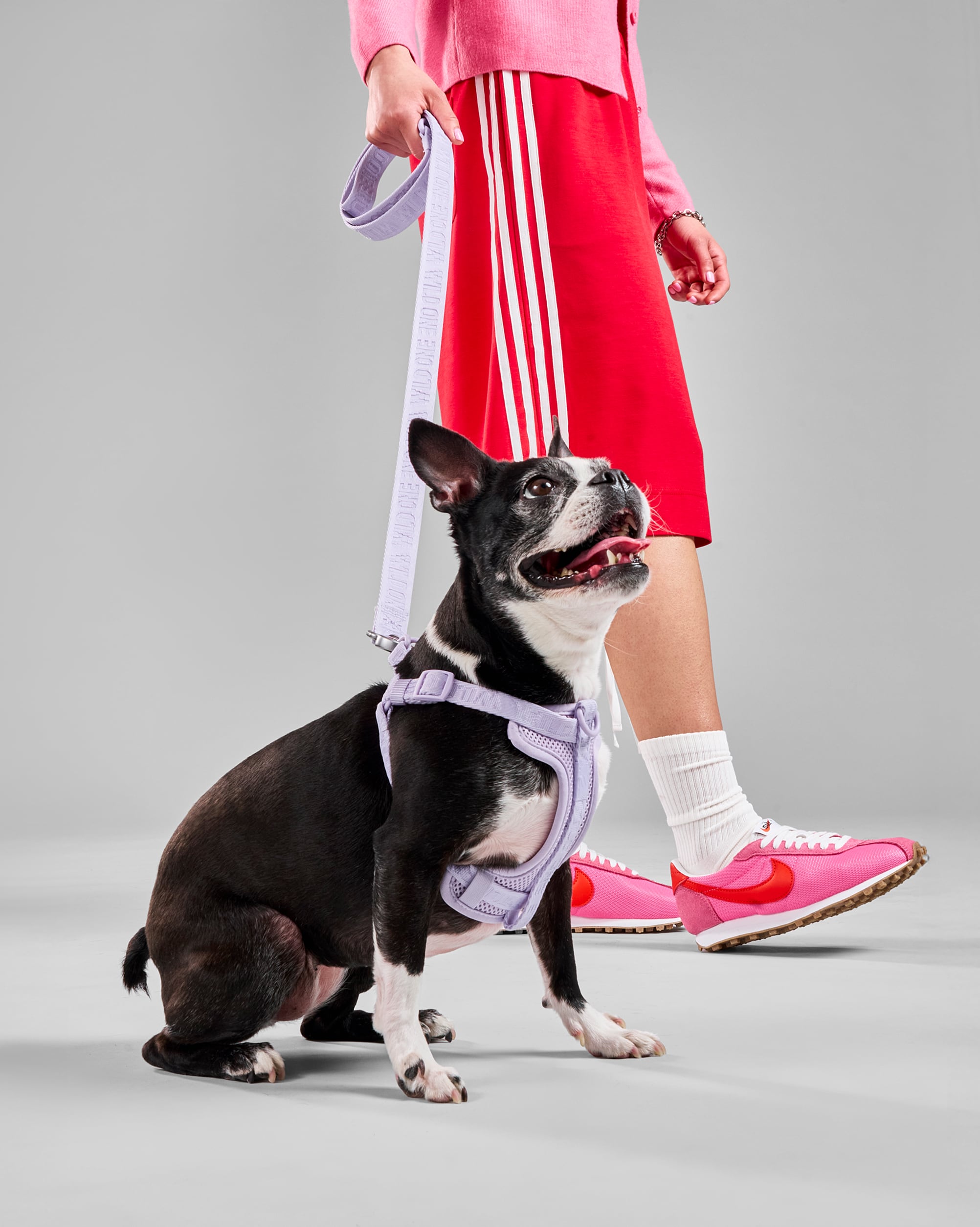 Dog Treat Pouch & Poop Bag Holder | Wild One