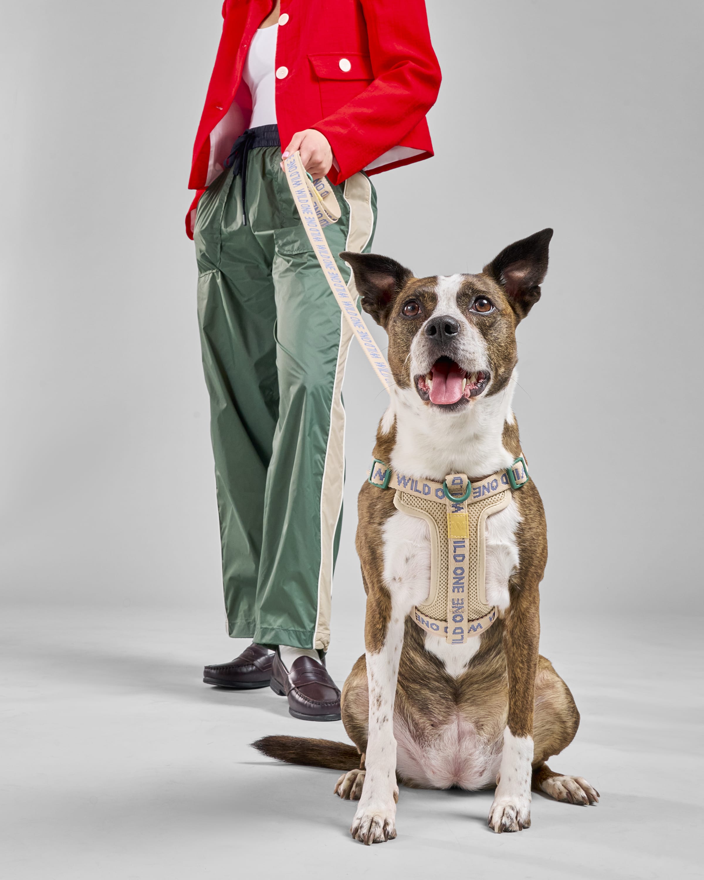 Step-In Dog Harness | Wild One