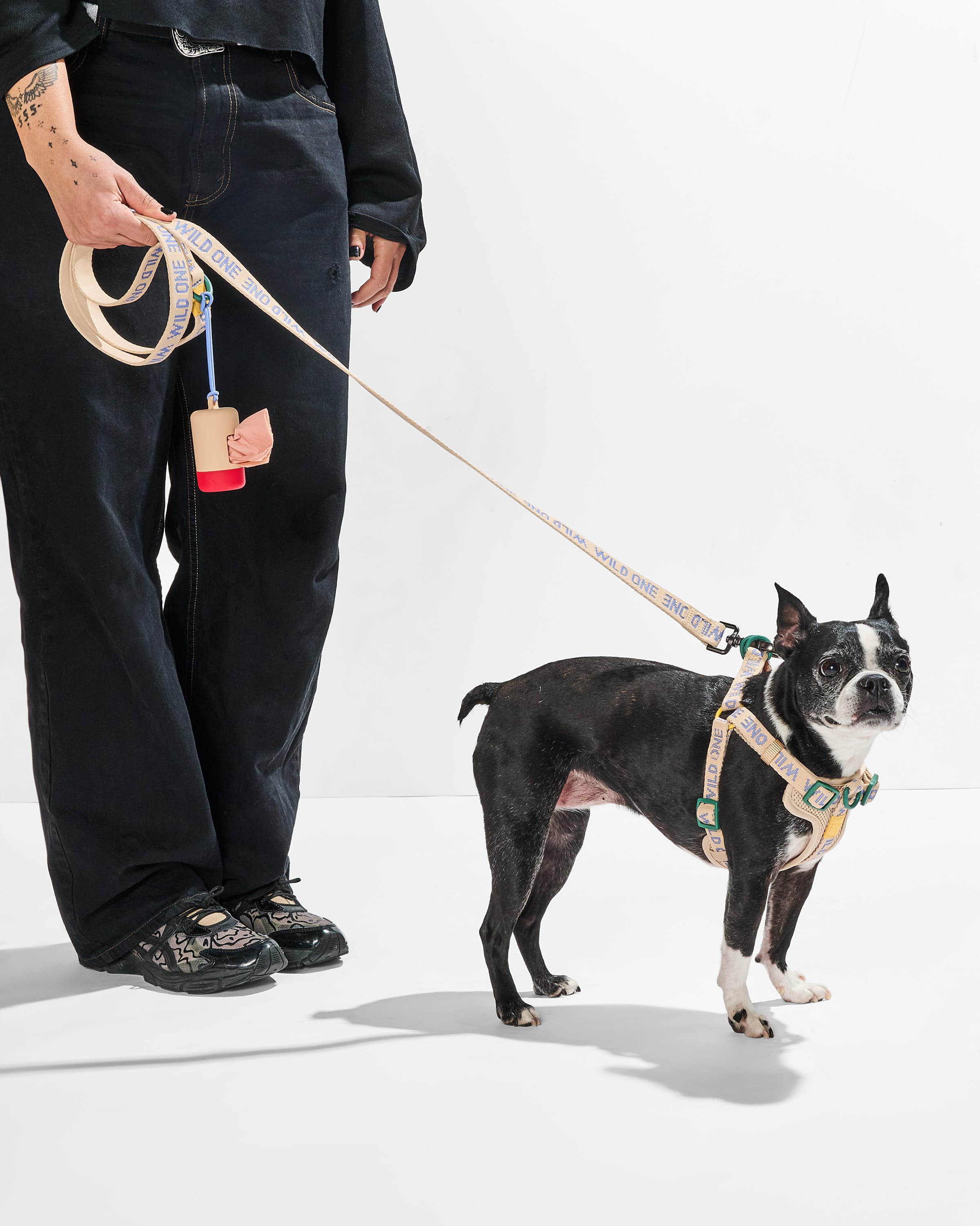 Step-In Harness + Lightweight Leash Dog Walk Kit – Wild One