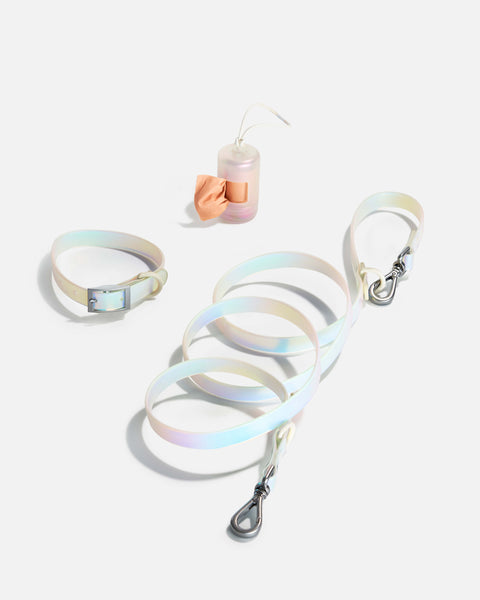 Collar shop with leash