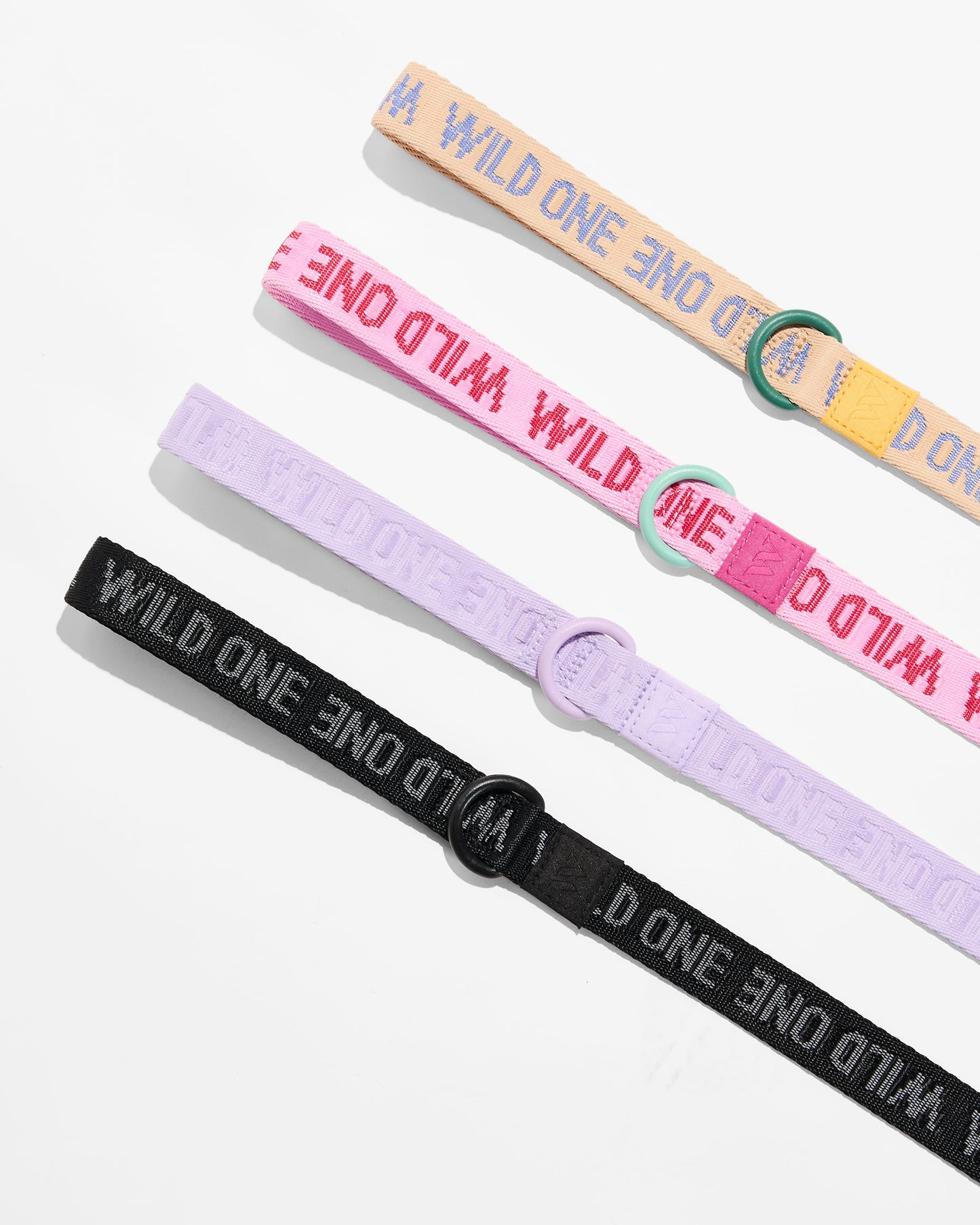 Quick-Release Collar + Lightweight Leash Walk Kit