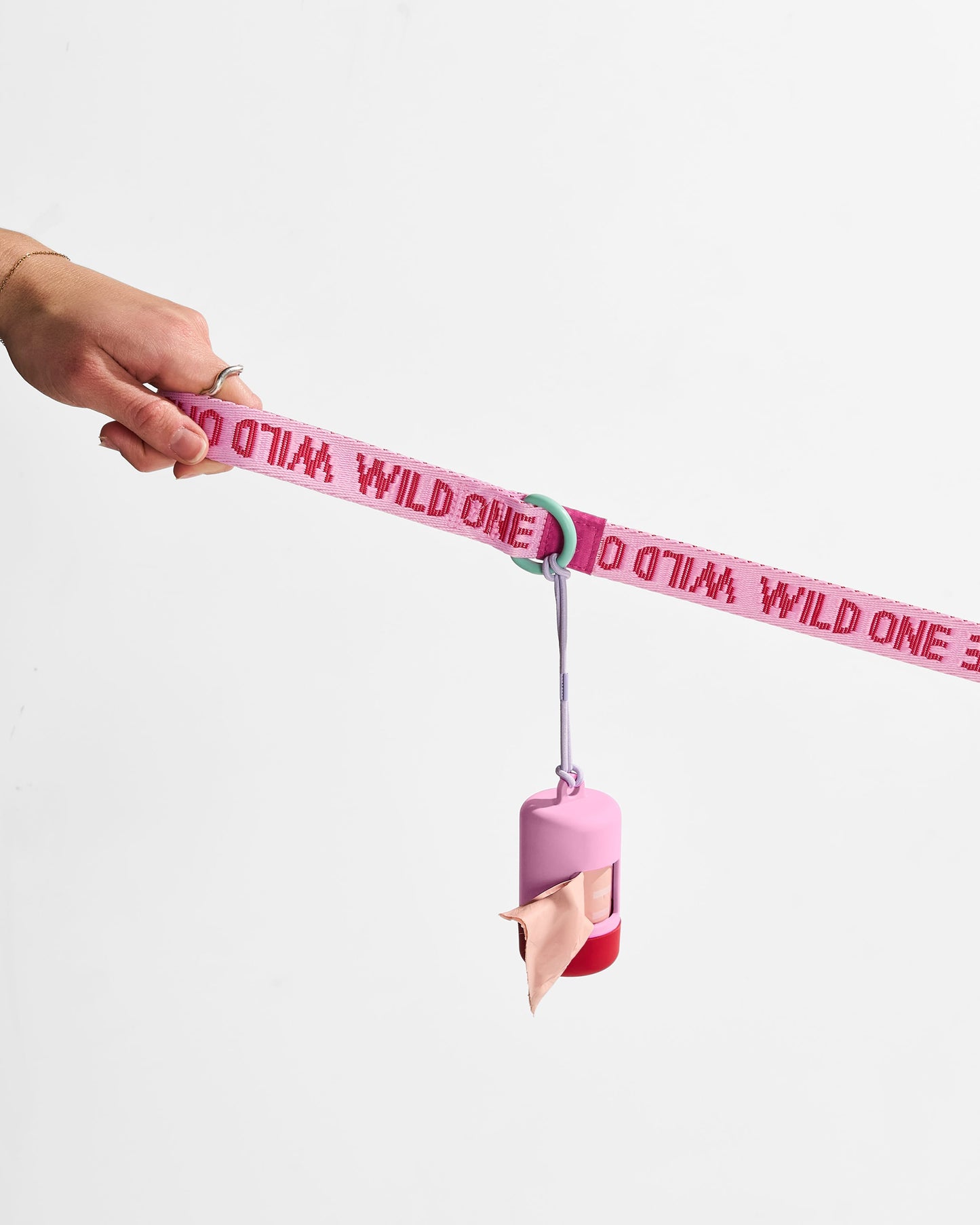 Quick-Release Collar + Lightweight Leash Walk Kit