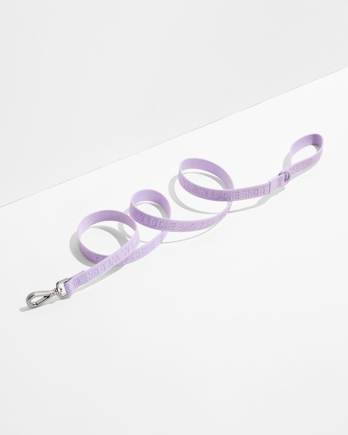 Quick-Release Collar + Lightweight Leash Walk Kit