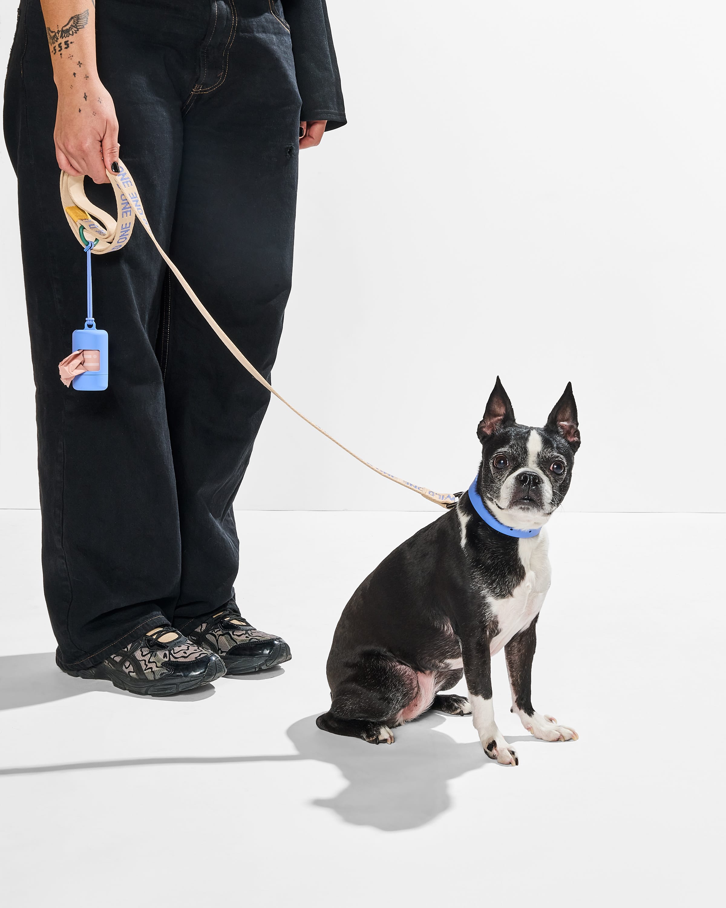 Waterproof Collar + Lightweight Leash Dog Walk Kit – Wild One