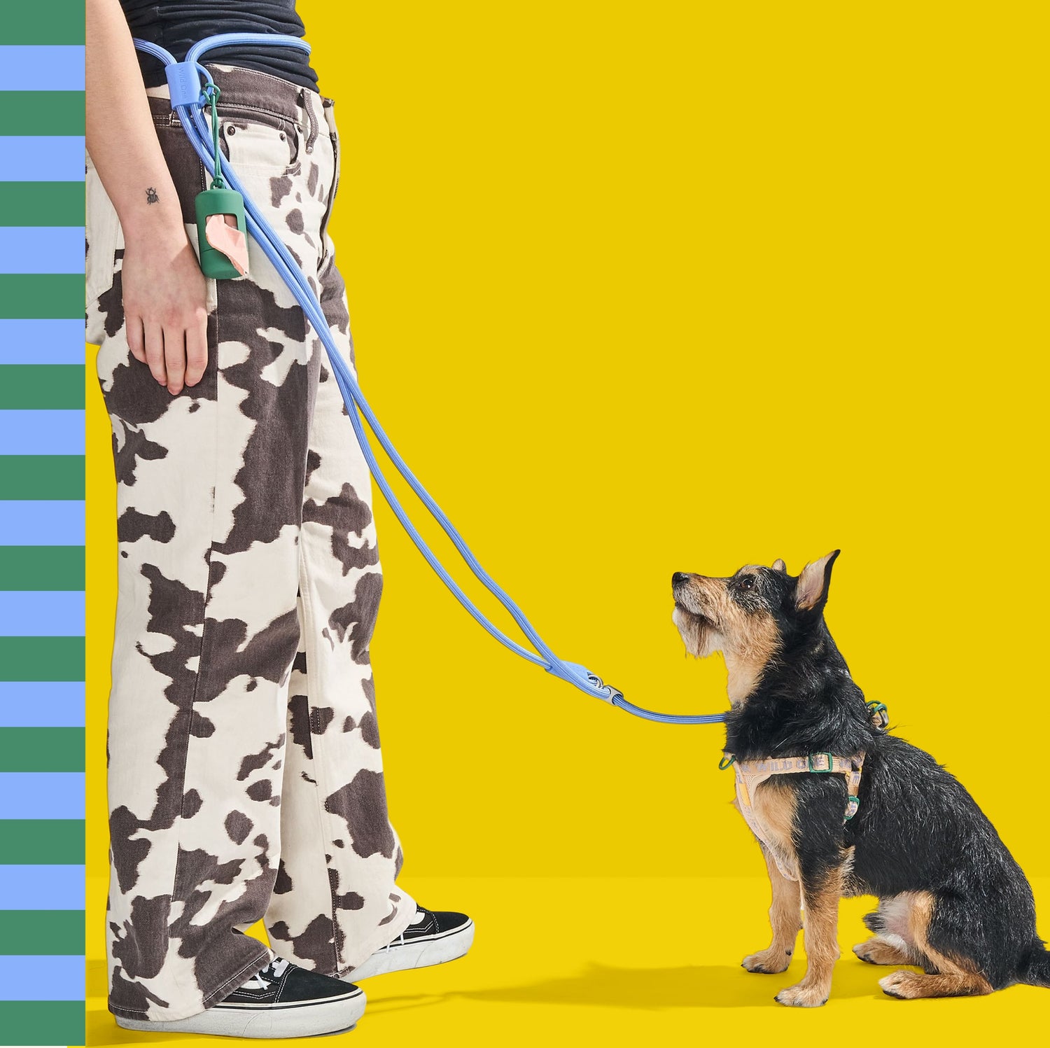 Wild One, brand website product image