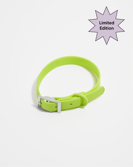Waterproof Dog Collar – Limeade