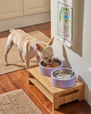 Elevated Dog Bowl Stand- 7" Raised Dog Bowl for Medium Dogs