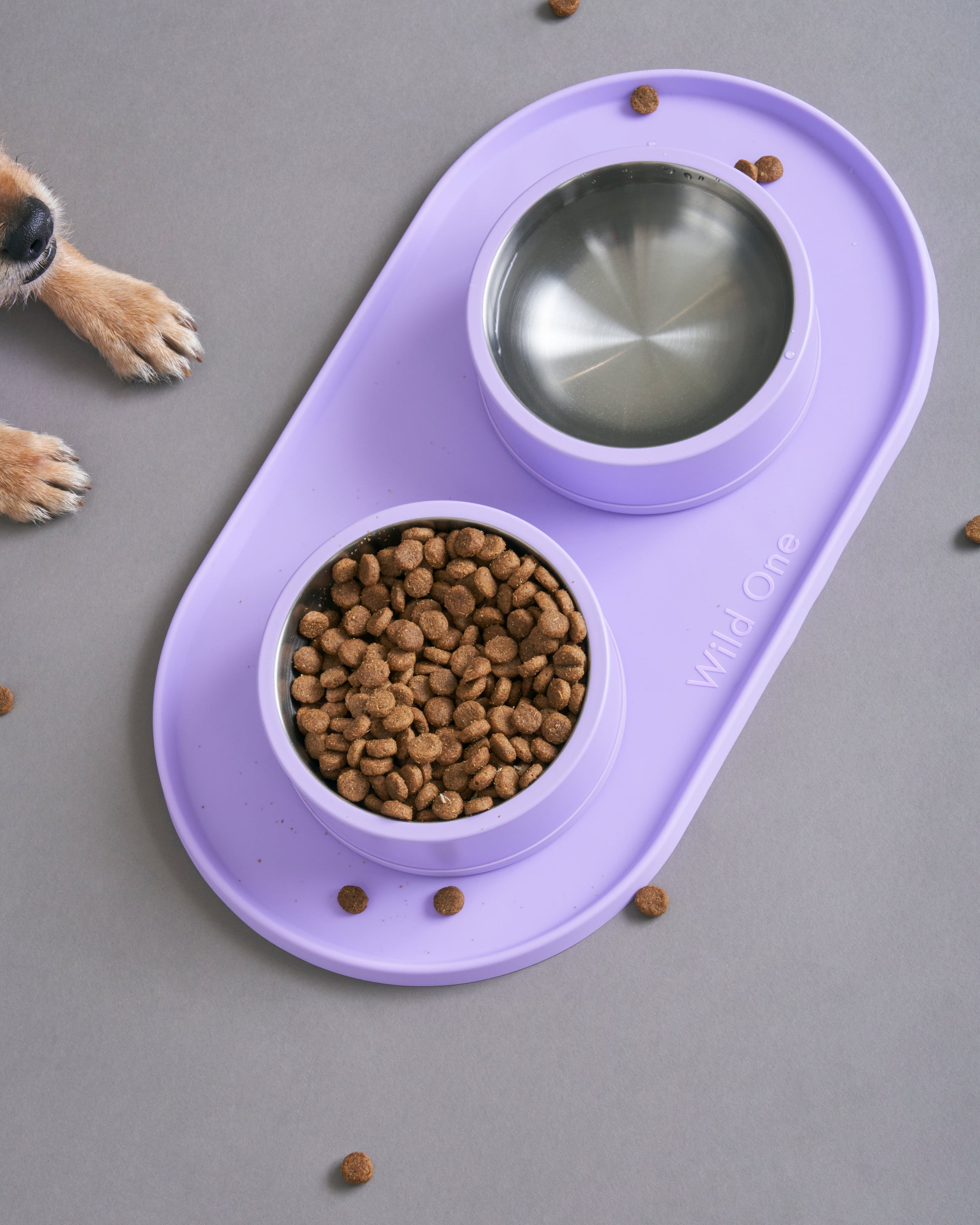 Place Steak Here Silicone Dog Bowl - Doggy Pet Products – Doggy Style