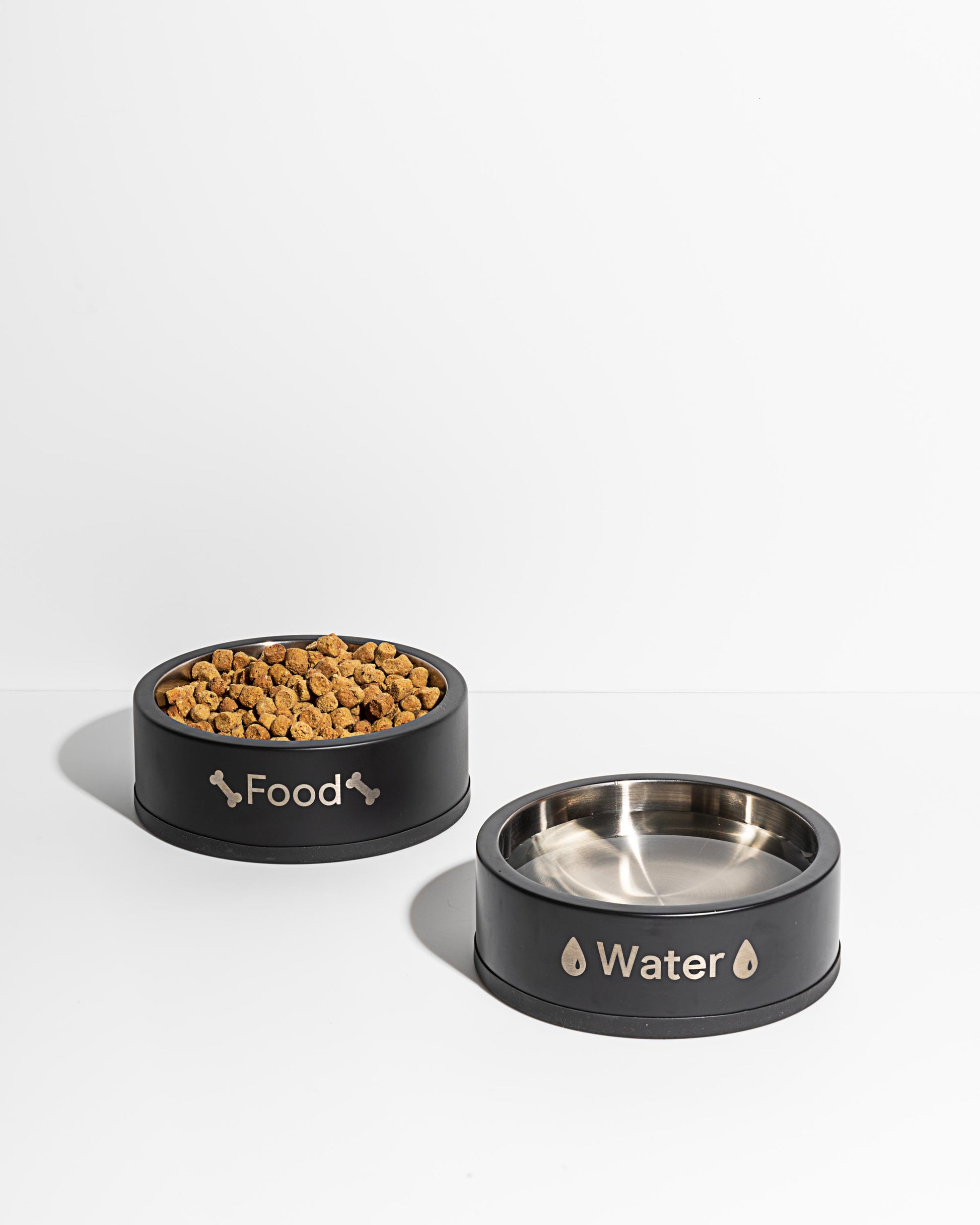 what is the best water bowl for dogs