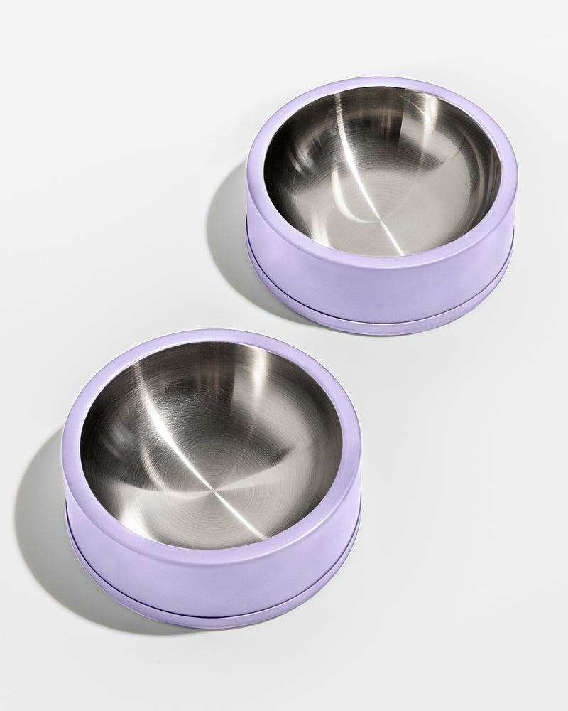 Set Of 2 Elevated Dog Bowls - Stainless-steel 40-ounce Food And