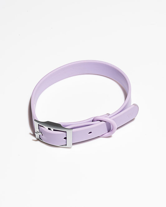 Waterproof Dog Collar – Lilac