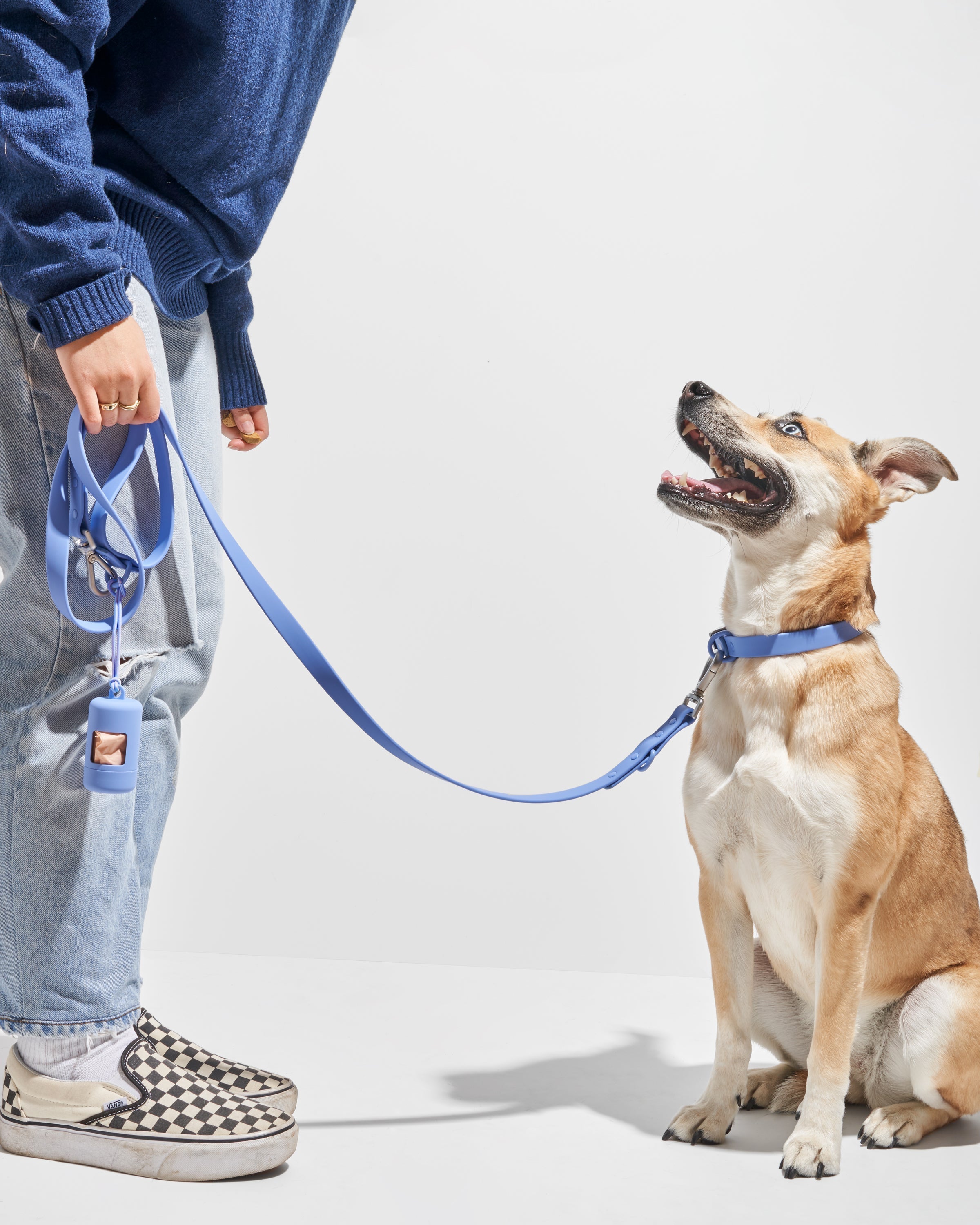 Good to go dog leash cheap