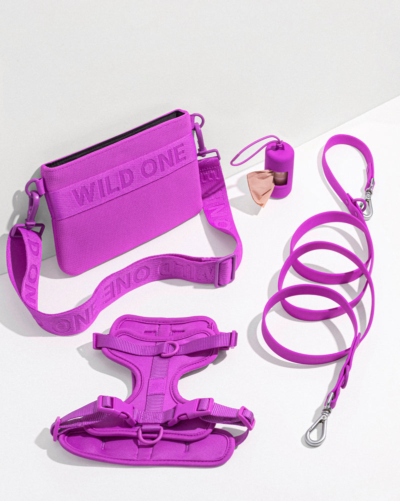 Wild one top leash review