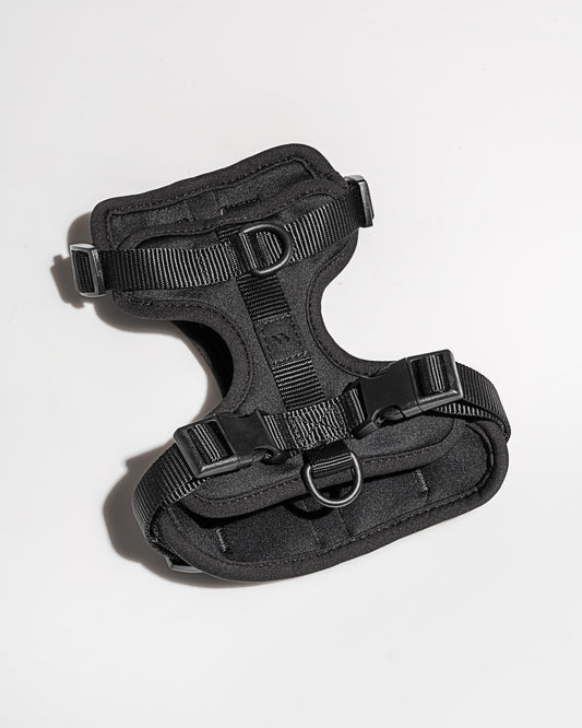 Cushioned Dog Harness – Black