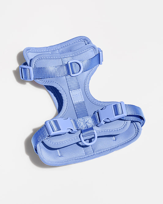Cushioned Dog Harness – Moonstone