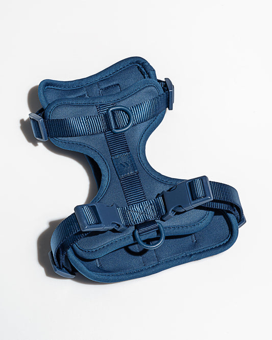 Cushioned Dog Harness – Navy
