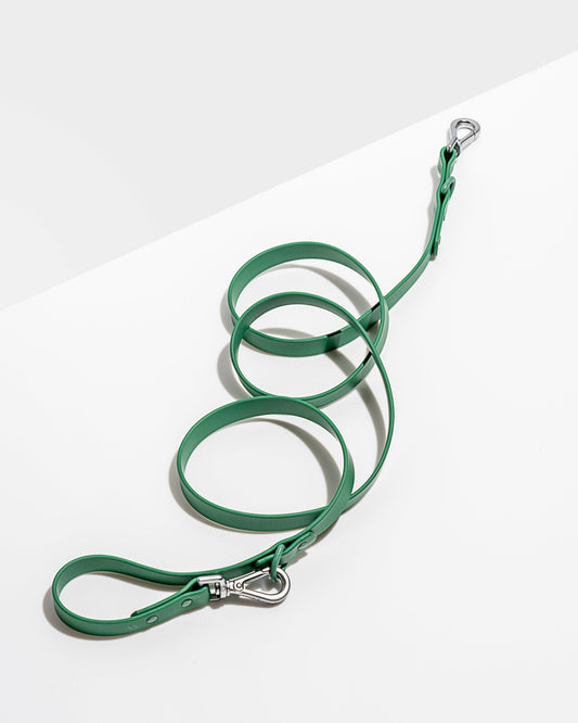Waterproof Dog Leash – Spruce