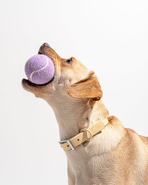 Wild One Tennis Tumble Dog Chew Toy (Moonstone) > Good Dog People™