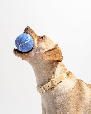 Wild One Tennis Tumble Dog Toy - Navy
