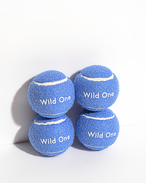 Wild One Tennis Tumble Dog Toy – MoMA Design Store