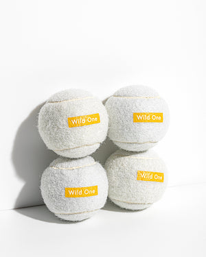 Wild One Tennis Tumble Dog Toy – MoMA Design Store