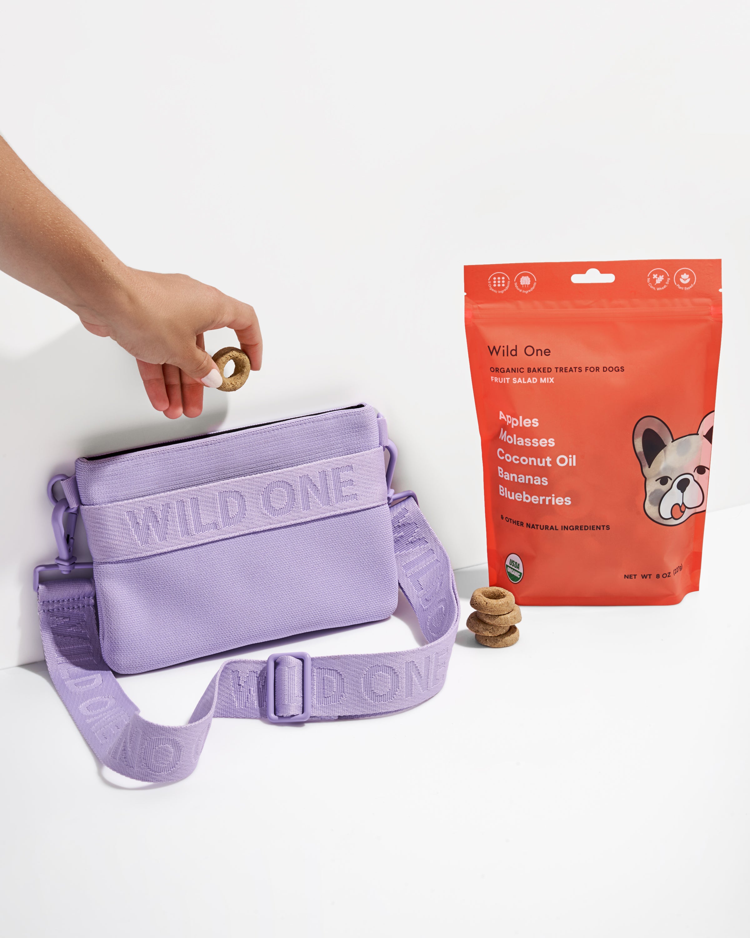 【期間限定】 Accessory Dog New Kits One Wild | Toys & Treats Dog | その他