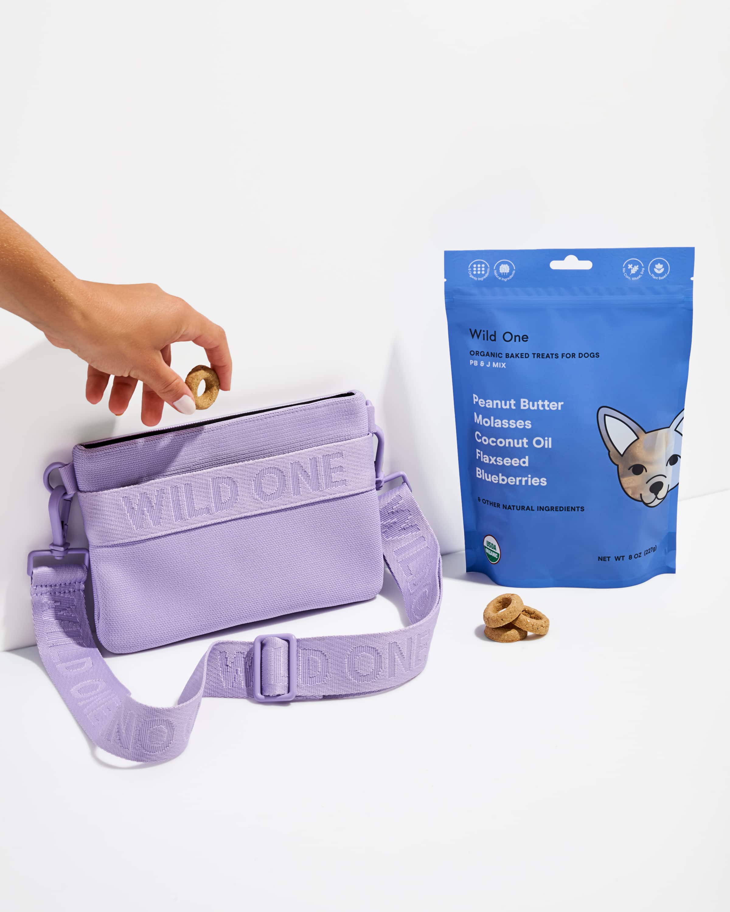 Dog show 2025 treat pouch