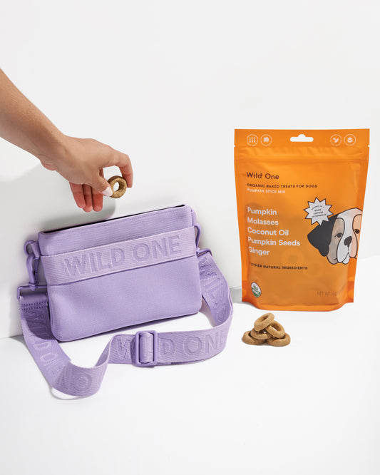 Lilac / Pumpkin Spice