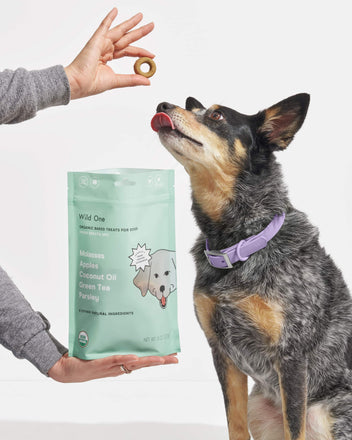 Dog Treat Pouch & Poop Bag Holder | Wild One