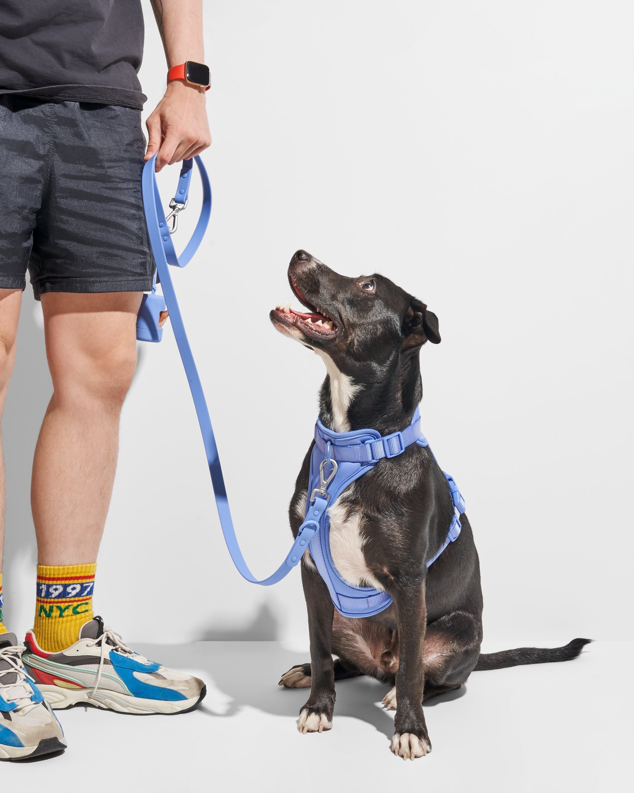 Dog walking harness for humans online