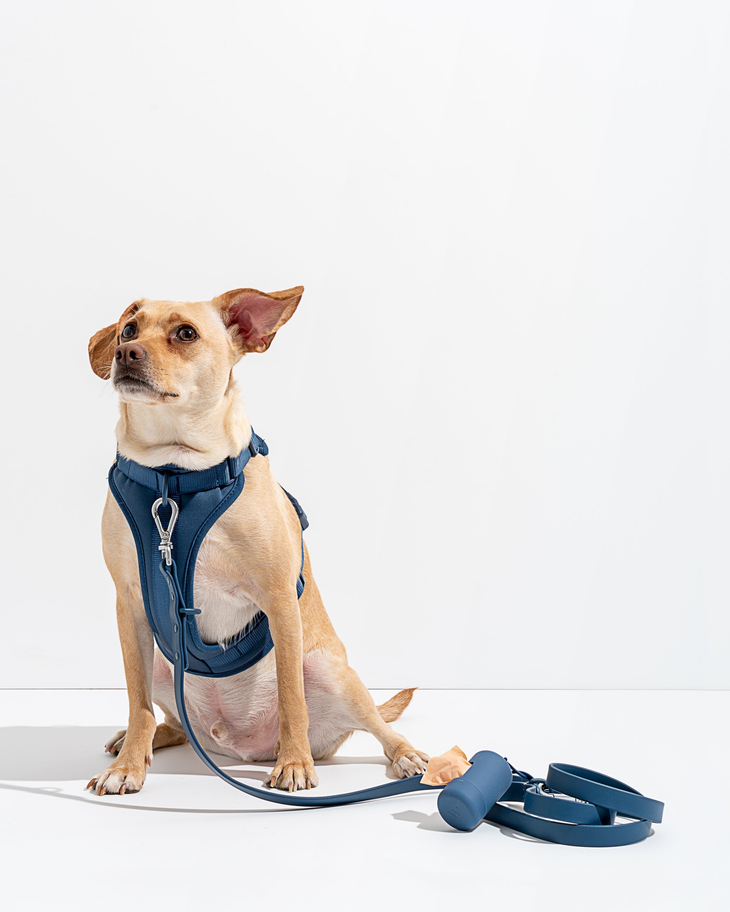Wild one leash review on sale