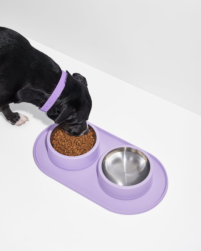 Elevated Dog Bowls Set with Dog Slow Feeder Bowl, Silicone Mat and Carry  Dog Bowls, Dog Dishes Puzzle Dog Feeder with Spill Proof Mat for Puppy and