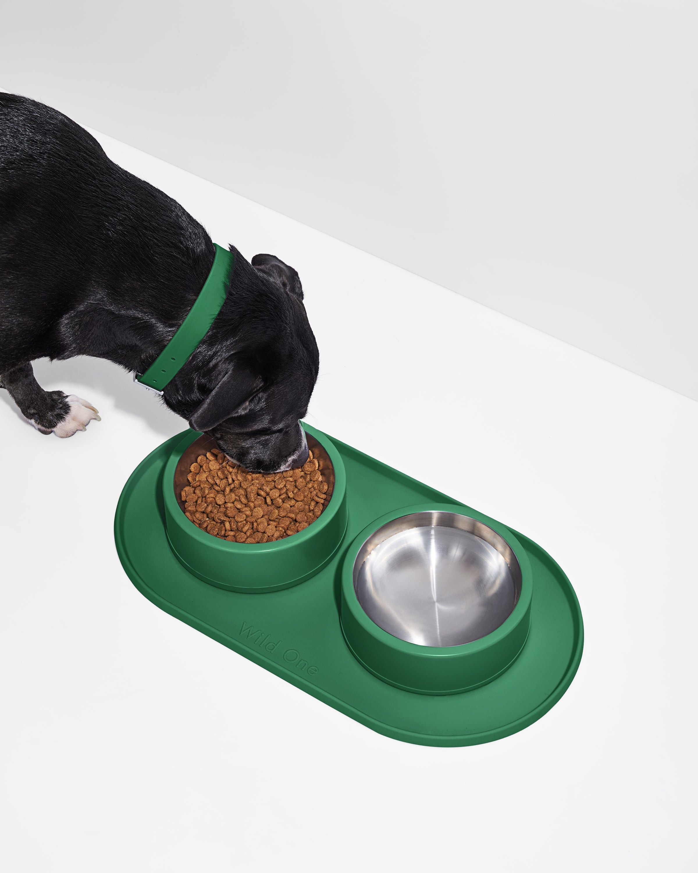 Stainless Steel Dog Bowl Set - Wild One