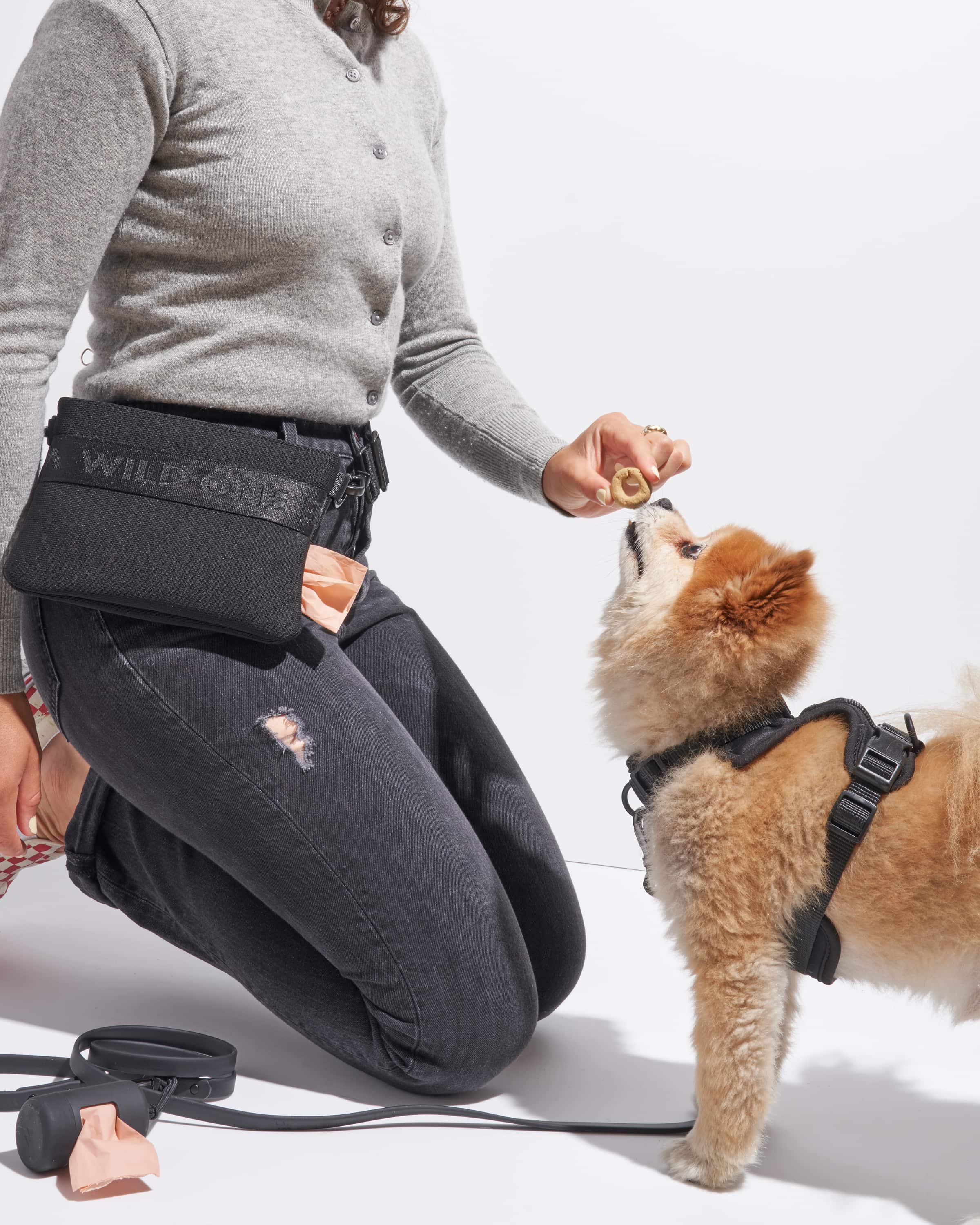 On-the-go dog pouch