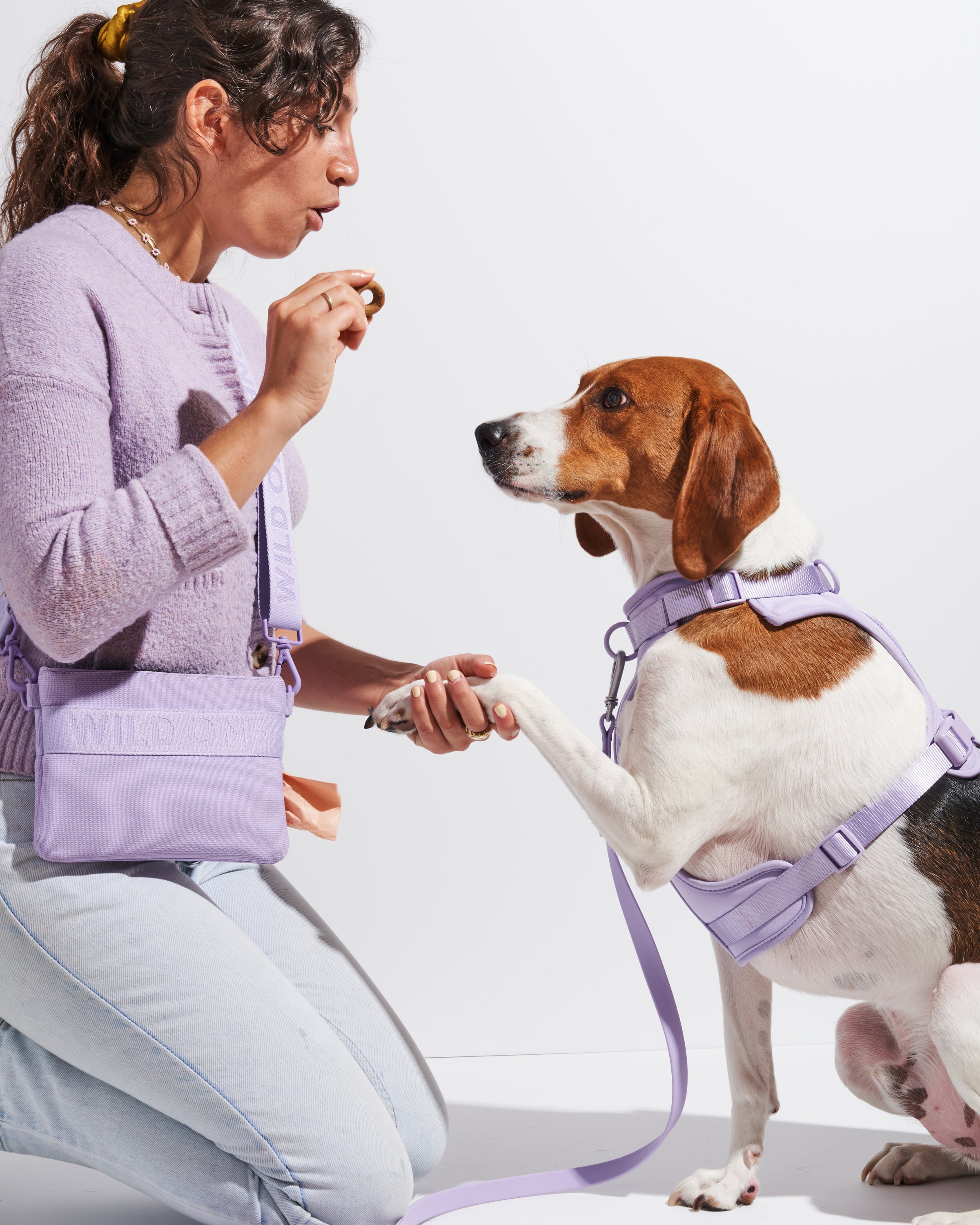 Wild one store leash review