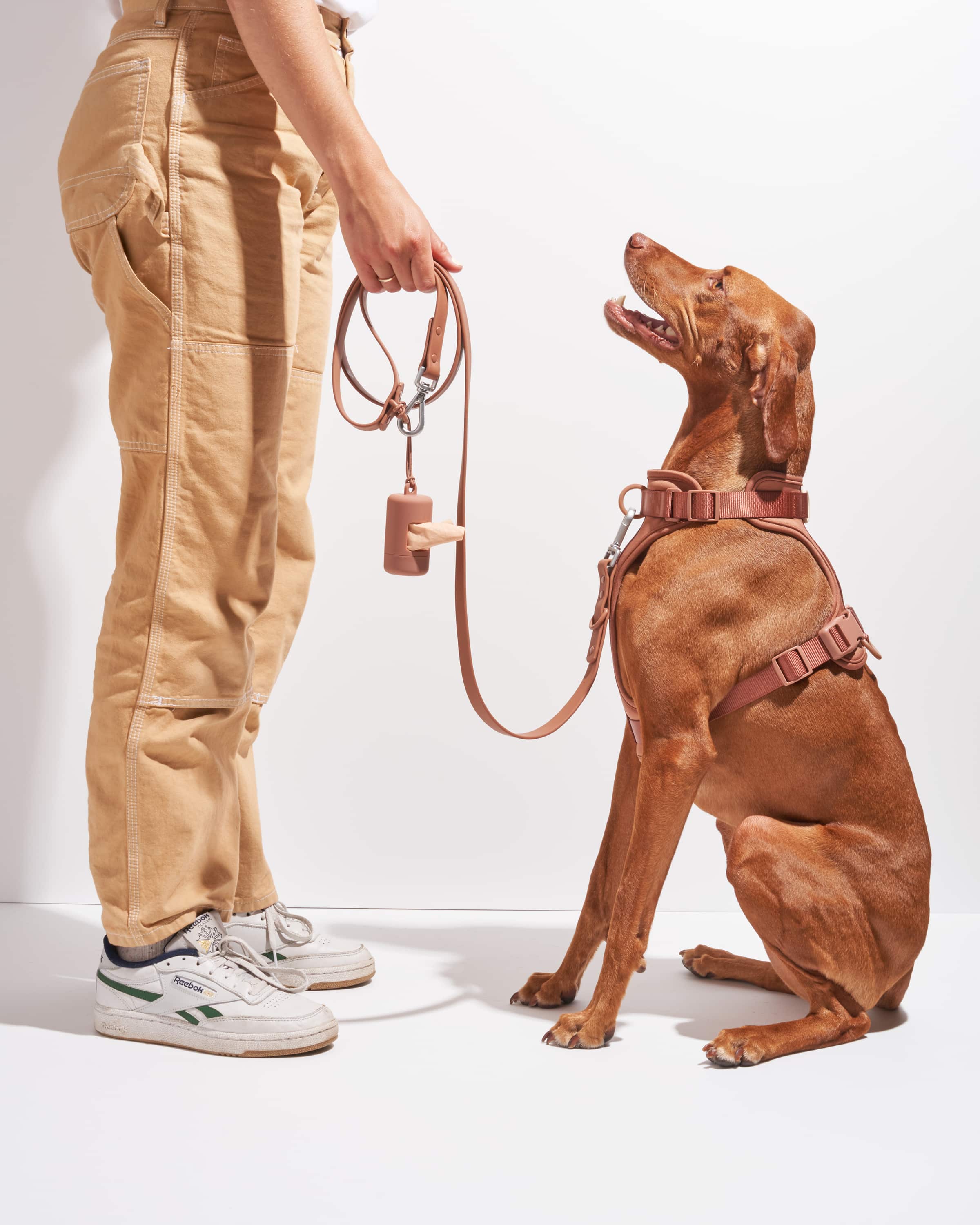 Wild one harness online