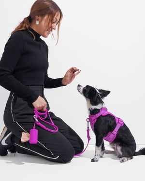 A Guide to Types of Dog Leash Clips, Harness Clips, and Collar Clips - Such  Good Supply